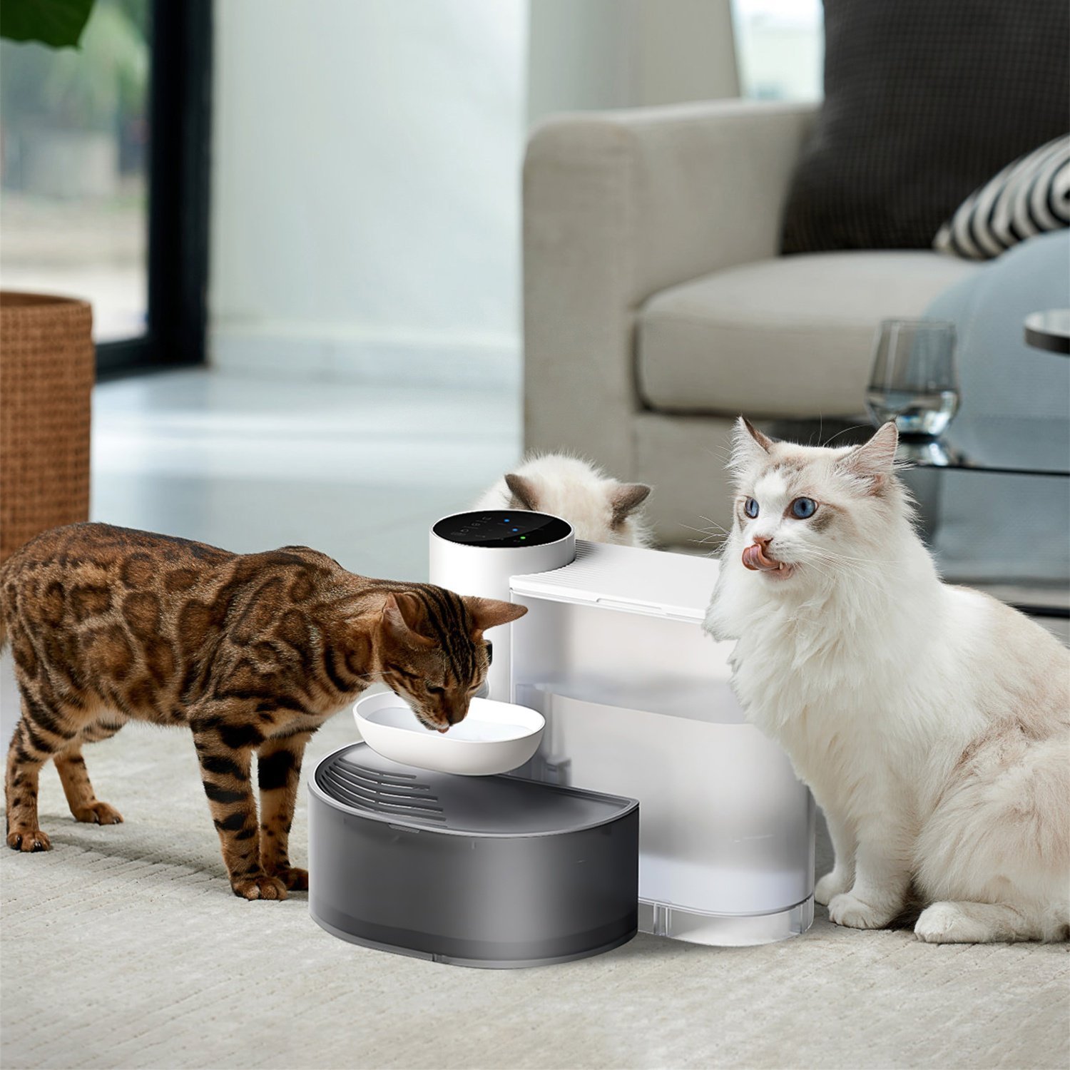 Two cats drinking from a PawKiro water fountain