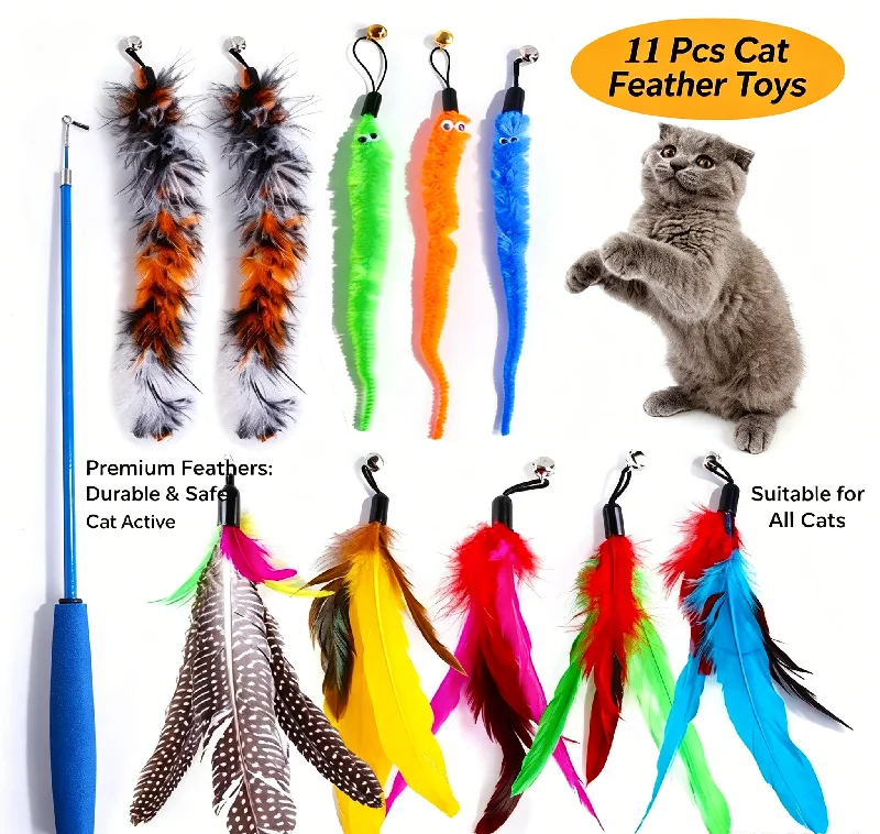 Teaser Wand Set with 11 Interchangeable Refills