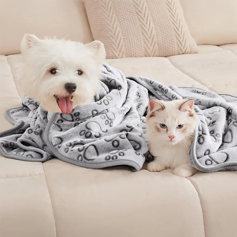 Kitten resting on a soft fluffy blanket, the kind of plush surface cats knead