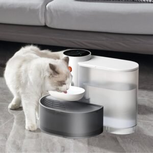 Fountains & Smart Feeding